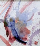 shiraga