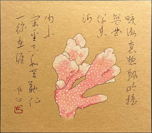 花野菜珊瑚