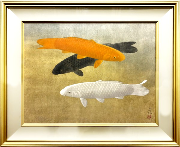 Swimming Carp